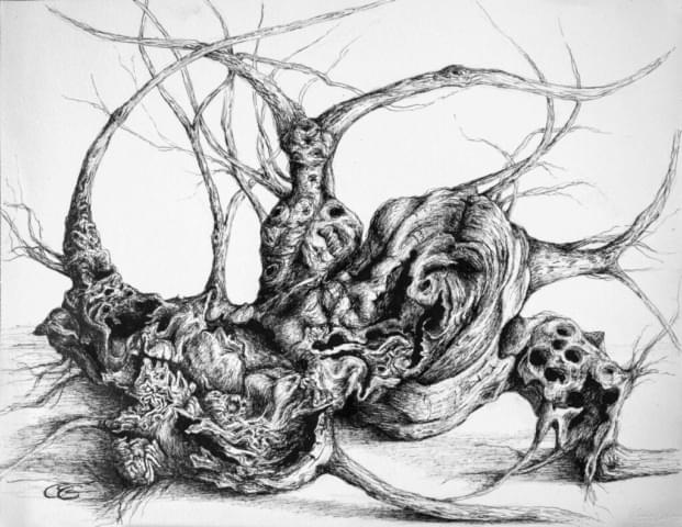 07012025-IMG_3234-Modifier