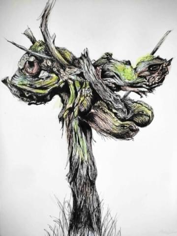 22042024-IMG_20240422_203819